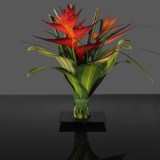 Arrangement Tropical Combination 4 Bouquets